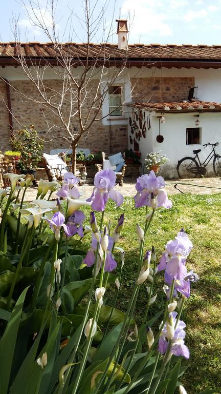 Il Colle Calci Villa Exterior foto