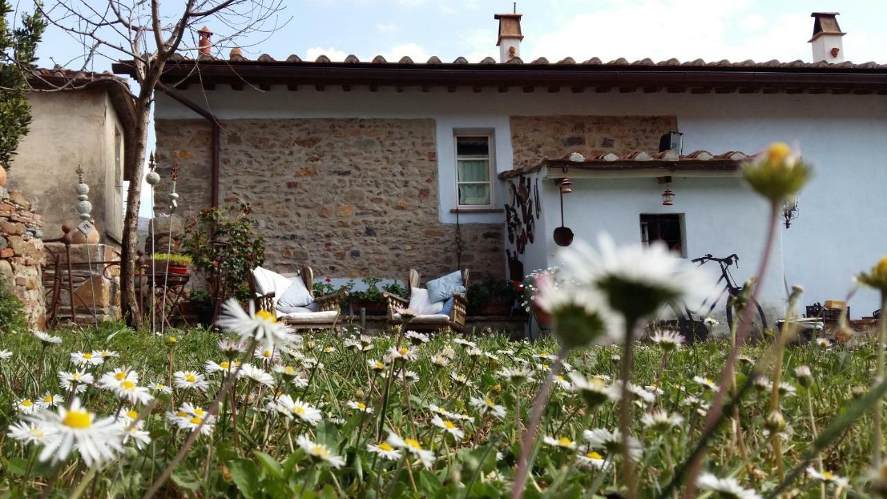 Il Colle Calci Villa Exterior foto