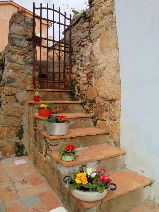 Il Colle Calci Villa Exterior foto
